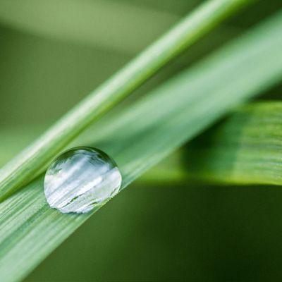 永續專區